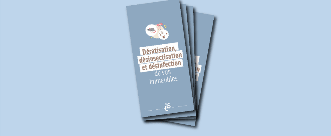 Une nouvelle fiche pratique sur les insectes et nuisibles !