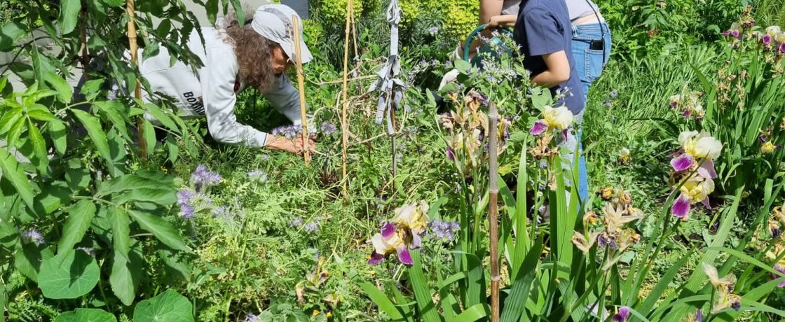 Ateliers jardinage à Mykérinos !